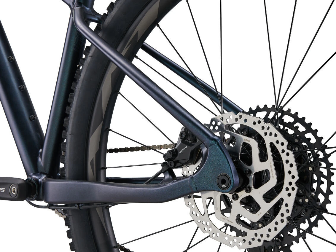 Liv Lurra 1 9 Liv Lurra 1 - Image 9