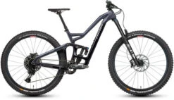 Niner WFO 9 RDO 2-Star SX Eagle