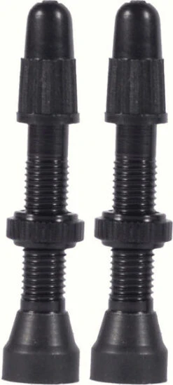 WTB TCS AL 34mm Presta Valve