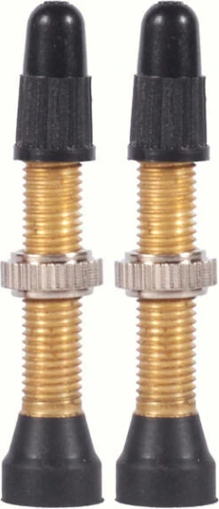 WTB TCS Brass 46mm Valve Stems